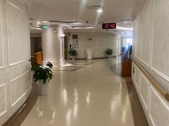 -上海市东方医院(总院)