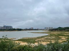 -立新湖公园