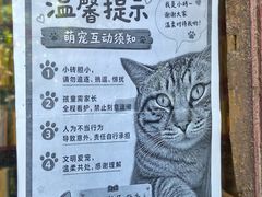 -正阳书局(西四南大街店)