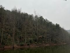 -青龙山国家森林公园