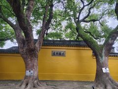 -西园寺素食(西园弄戒幢律寺店)