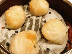 晶莹鲜虾饺-点点心点心专门店(旺角店)