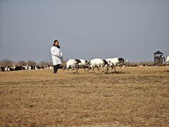 -盐城丹顶鹤湿地生态旅游区