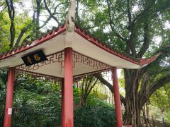 -乌山风景区
