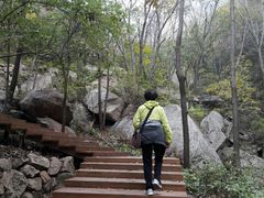 -大岭沟猕猴桃谷风景区
