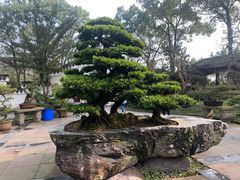 -南山植物园