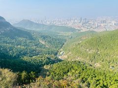 -佛慧山