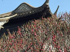 -春兰国宾馆(凤城河风景区老街店)
