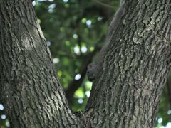 android_upload_pic-府山公园