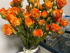 -循礼门鲜花花市(武汉循礼门店)