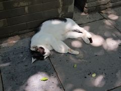 -竹吟山房