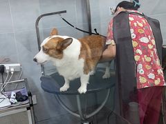 -宠福鑫康馨动物医院·骨科·眼科