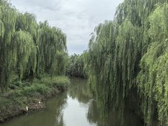 -赵州桥景区
