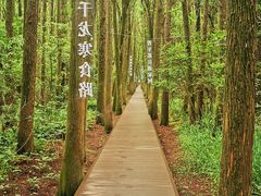 -同里国家湿地公园