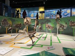 -国家自然博物馆