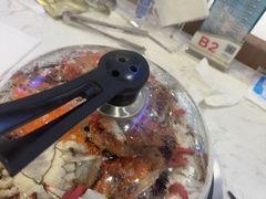 -半岛听涛蒸汽海鲜自助(K11店)