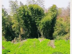 -南京市江宁方山