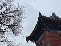 -北京艺术博物馆(万寿寺)