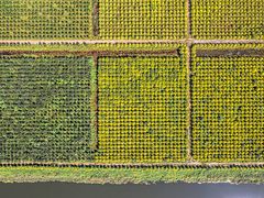 -天津东丽湖风景区