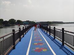 -鹅湖玫瑰文化园