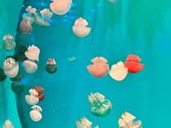 -福州罗源湾海洋世界旅游区