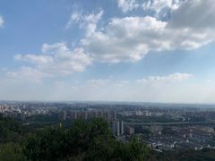 -杭州半山国家森林公园