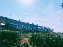 -武汉紫薇都市田园