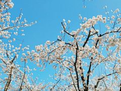-龙美术馆(西岸馆)