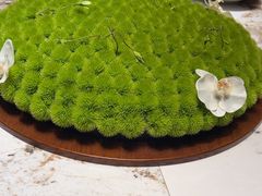 -上荔晶·土菜馆(古田店)