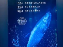 -忆江南·临江鱼馆