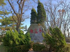 -燕窝岭