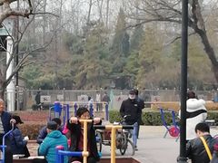 -康庄公园