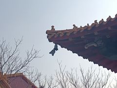 -哈尔滨极乐寺