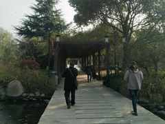 -白马涧龙池景区