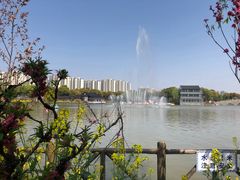-南汇桃花村