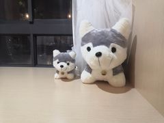 -Husky Go! 哈士奇体验馆·宠物咖啡厅狗咖