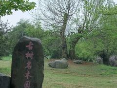 -东湖落雁景区