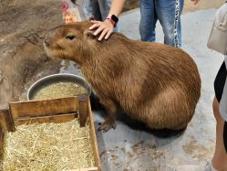 -Zoolung Zoolung动物主题公园(海信广场店)