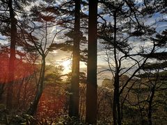 -塔川景区