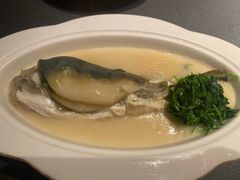 -沈灶河豚宴·河豚融合餐厅(汉中路店)
