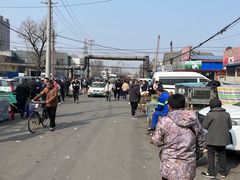 -八家子宠物市场