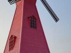 -顾村公园