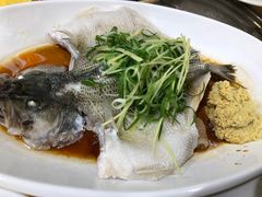 -洞密园美食城(富华路店)