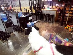 -CrossFit MeWellness