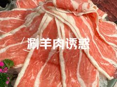 -袁老四重庆老火锅(桐梓坡店)