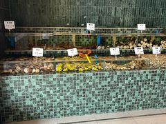 -双海潮·海鲜融合菜(如是海店)