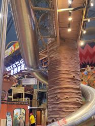 点击看大图 -卡通尼·Safari非洲探索乐园·生日会(金桥国际商业广场店)