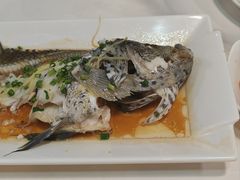 -精致顺德菜(琶洲店)