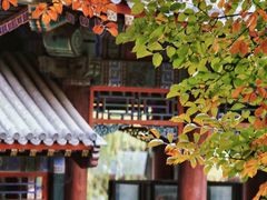 -颐和园