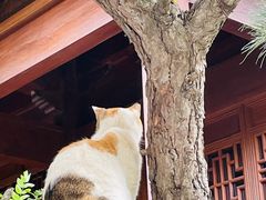 -龙华寺